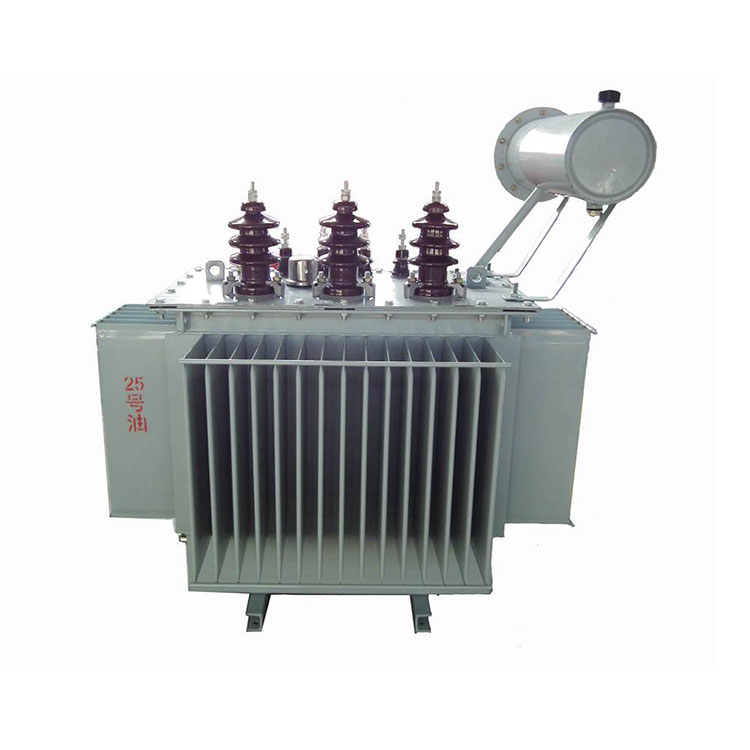 11 0.433 Kv 315 Kva Distribution Transformer